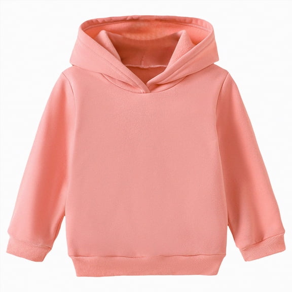 Ccpelsie Girls Sweatshirt Fleece Hooded Pullover for Toddler Long Sleeve Tops Fall Winter Clothes(Pink,3-4 Years)