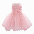 thumbnail image 1 of Ccpelsie Little Girls Tutu Dress Butterflies Flowers Toddler Baby Girls Sleeveless Princess Tulle Sundress Party Dress(Pink,6-12 Months), 1 of 1