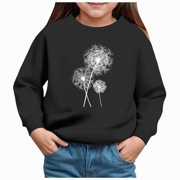 Ccpelsie Long Sleeve Toddler Crewneck Sweatshirt Drop Shoulder Girls' Fashion Pullover Sweatshirts(Black,2Y)