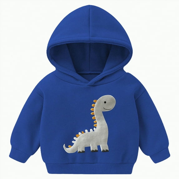 Ccpelsie Toddler Baby Boys Hooded Sweatshirt Fleece Pullover Long Sleeve Casual Hoodies Fall Winter Clothes for Kids(Blue,5-6 Years)
