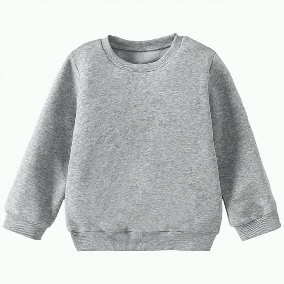 Ccpelsie Toddler Boy Long Sleeve Crewneck Pullover Sweatshirt Sweater Outfits Solid Color Casual Clothes(Grey,2-3 Years)