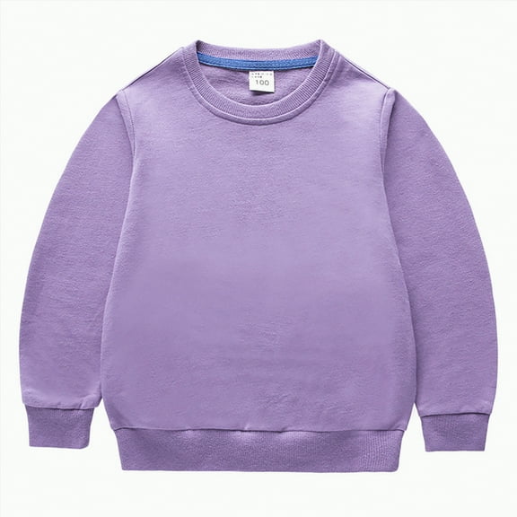 Ccpelsie Toddler Boys Solid Pullovers Sweatshirt Long Sleeve Clothes Kids Cotton Crewneck Thin Tops(Purple,6-12 Months)