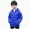 thumbnail image 1 of Ccpelsie Toddler Hooded Jacket Boys Thicken Warm Winter Coat Outerwear for Little/Big Kids(Blue,3-4 Years), 1 of 8