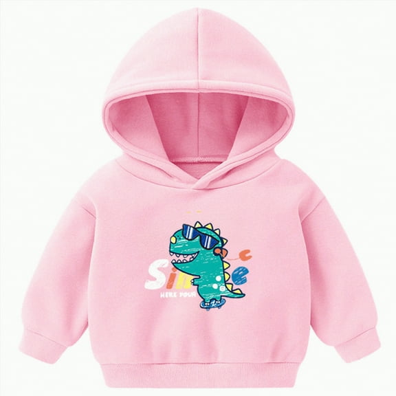 Ccpelsie Winter Boy Hoodies Kids Long Sleeve Casual Pullover Sweatshirts Tops with Pockets(Pink,18-24 Months)