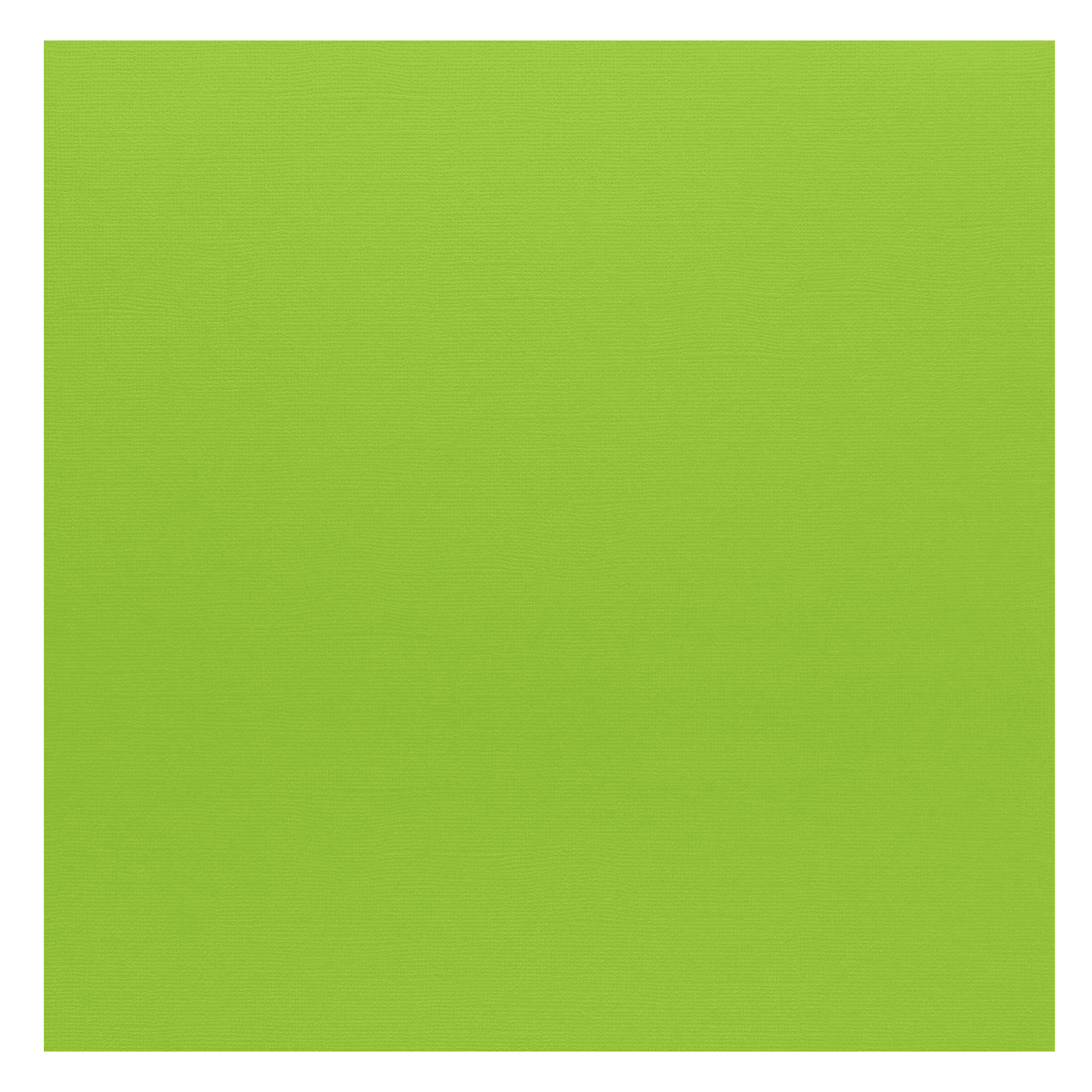 PA Paper Accents Muslin Cardstock 12" x 12" Tree Frog, 73lb colored cardstock paper for card making, scrapbooking, printing, quilling and crafts, 1000 piece box