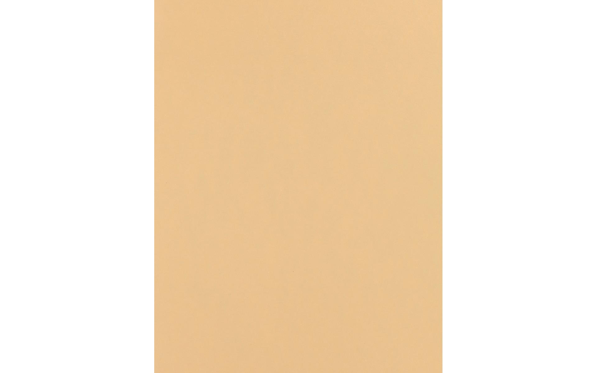 PA Paper Accents Stash Builder Cardstock 8.5" x 11" Latte, 65lb colored cardstock paper for card making, scrapbooking, printing, quilling and crafts, 1000 piece box