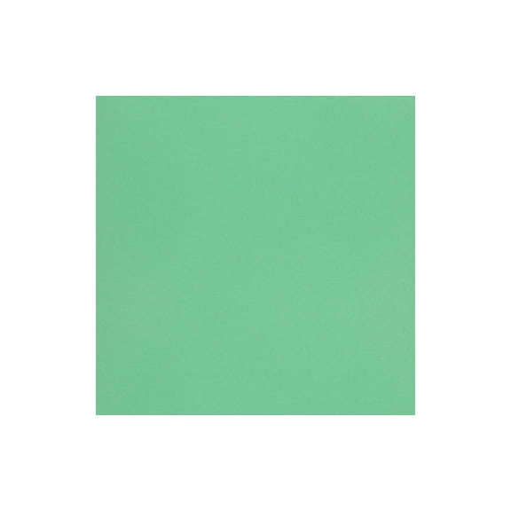 Cdstk Textured 12x12 73lb 1000pc Box Parisian Mint
