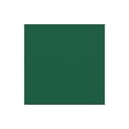thumbnail image 1 of Cdstk Textured 12x12 73lb 25pcPk Highland GreenUPC, 1 of 1