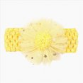 thumbnail image 1 of Cdudpw Flower Headbands Baby Girl Soft Nylon Headband for Newborn Floral Nylon Hairbands Hair Accessories for Infant Toddler Kids Gifts(Yellow,One Size), 1 of 3
