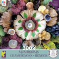 thumbnail image 1 of Ceaco 300pc Discovery Park Mushrooms, 1 of 1