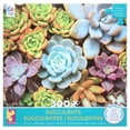 thumbnail image 1 of Ceaco Succulents 300 Piece Interlocking Jigsaw Puzzle, 1 of 8
