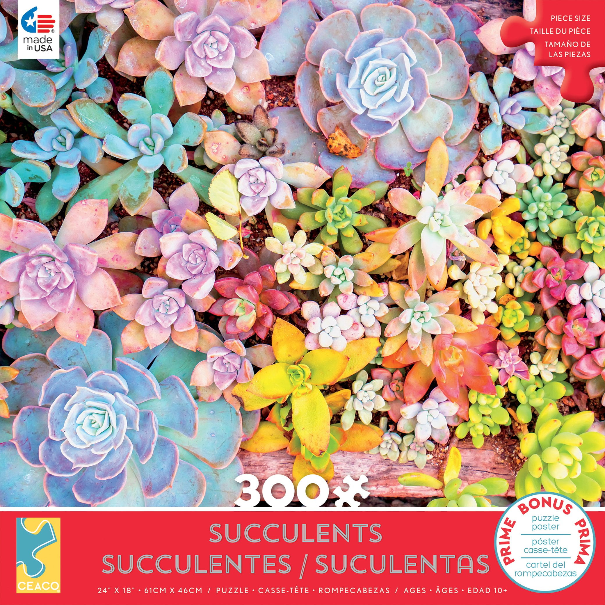 Ceaco Succulents Pretty Pastels 300 Piece Interlocking Jigsaw Puzzle