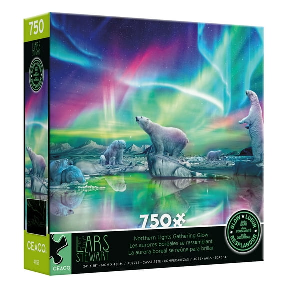 Ceaco The Library Glow (June's Journey) 750 Piece Interlocking Jigsaw Puzzle