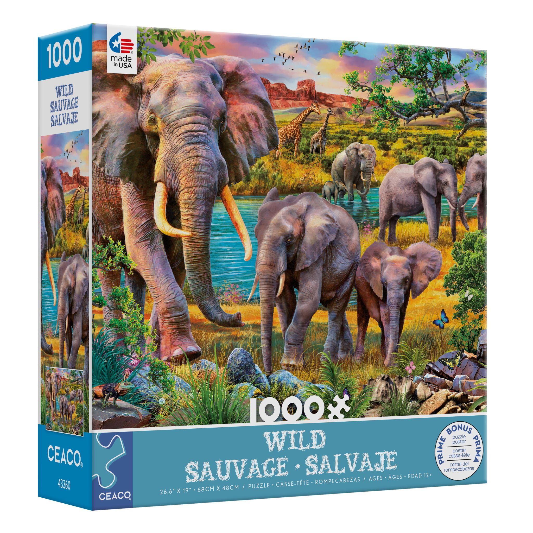 ⇨OFERTA Escarpines Fresk Elefantes 2023 - MiniCoco