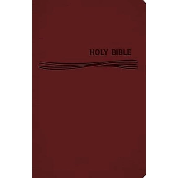 Ceb Common English Deep Blue Kids Bible Decotone Burgundy Diving
