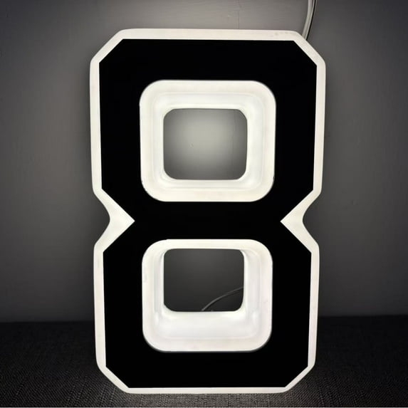 Cebalnir Light Up Waterproof LED Address Numbers Signs For Houses Large Personalized Illuminated Exterior Modern House Numbers Light