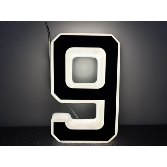 Cebalnir Light Up Waterproof LED Address Numbers Signs For Houses Large Personalized Illuminated Exterior Modern House Numbers Light