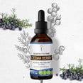 thumbnail image 1 of Secrets Of The Tribe Cedar Berry Tincture Dietary Supplement, Natural Herbal Extract for Immune Support, Cedar Berry (Juniperus monosperma) Dried Berry, Alcohol-Free Extract, Drops 2 oz, 1 of 6