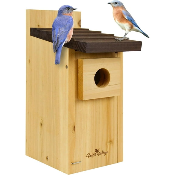Cedar Blue Bird Box House