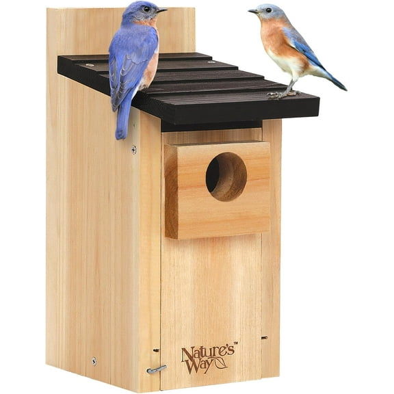 Cedar Bluebird Box House Badge customization