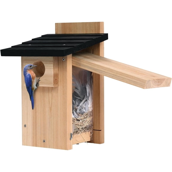 Cedar Bluebird Viewing Birdhouse with Clear Window, Weatherproof Wooden Nesting Box for Outdoor Backyard Garden