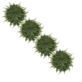 Cedar Greenery Round Placemats - 20-Inch Christmas Table Mats Set, Winter Holiday Festive Placemats, Durable Stain-Resistant Plastic Placemats, Green Nature-Themed Dining Decor