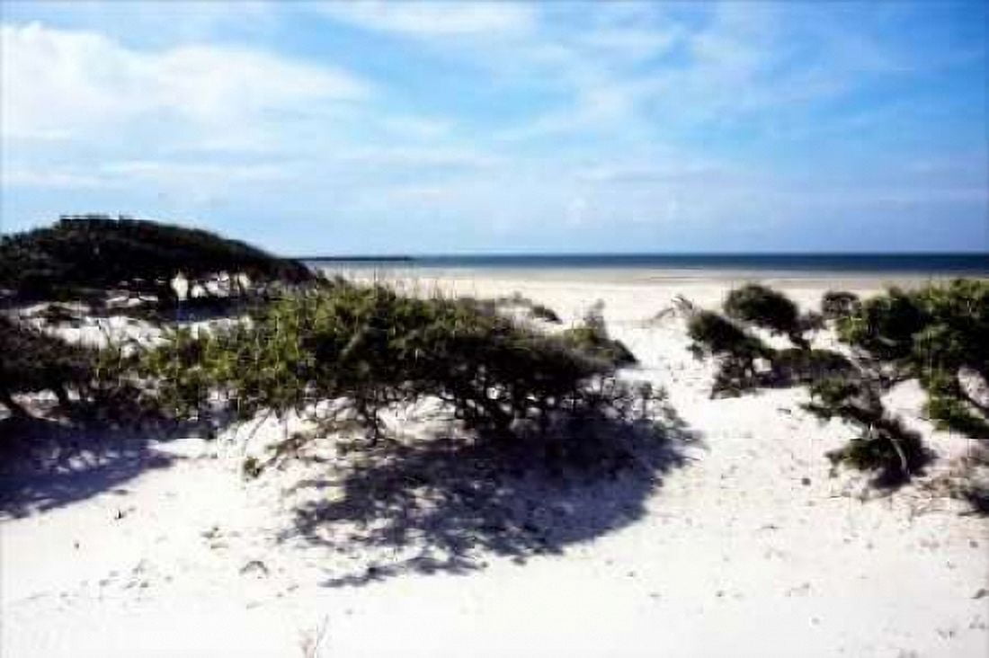 Cedar Island I Canvas Art - Alan Hausenflock (24 x 36)