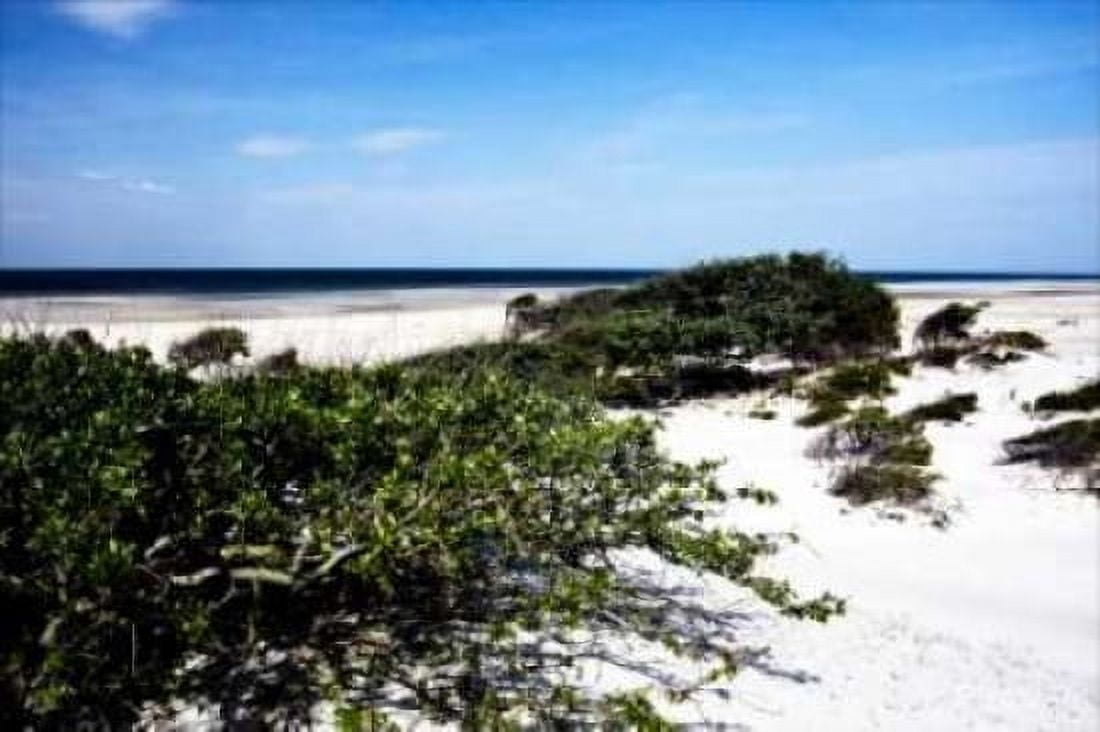Cedar Island II Canvas Art - Alan Hausenflock (24 x 36)