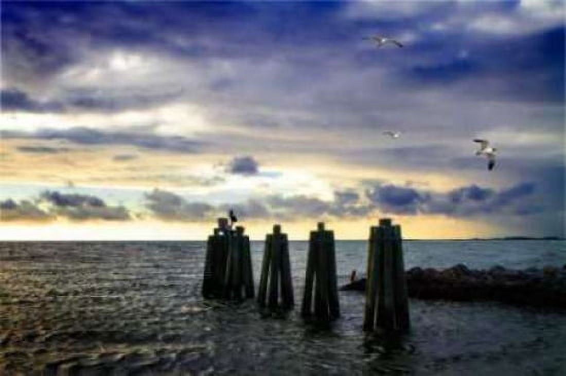 Cedar Island Quay II Canvas Art - Alan Hausenflock (20 x 28)