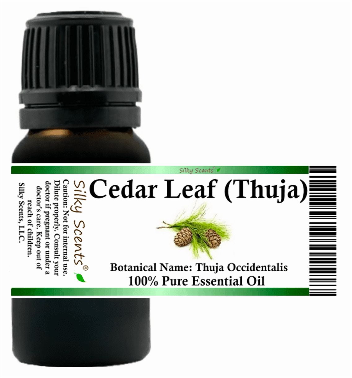 Cedar Leaf (Thuja) Essential Oil Essential Oil 1 fl oz (30 ml) - 100% Pure and Natural by Silky Scents