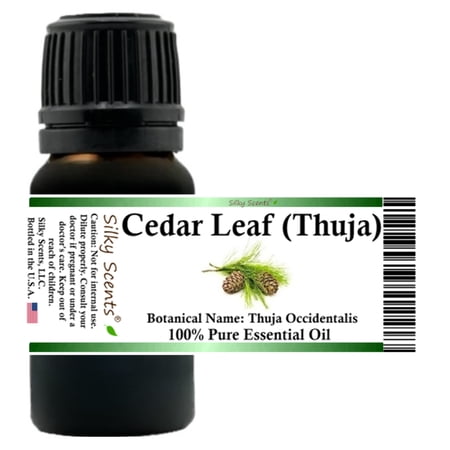 Cedar Leaf or White Cedar Essential Oil (Thuja Occidentalis) 100% Pure Natural - 1 fl oz (30 ml)
