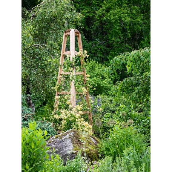 Cedar Obelisk 8ft