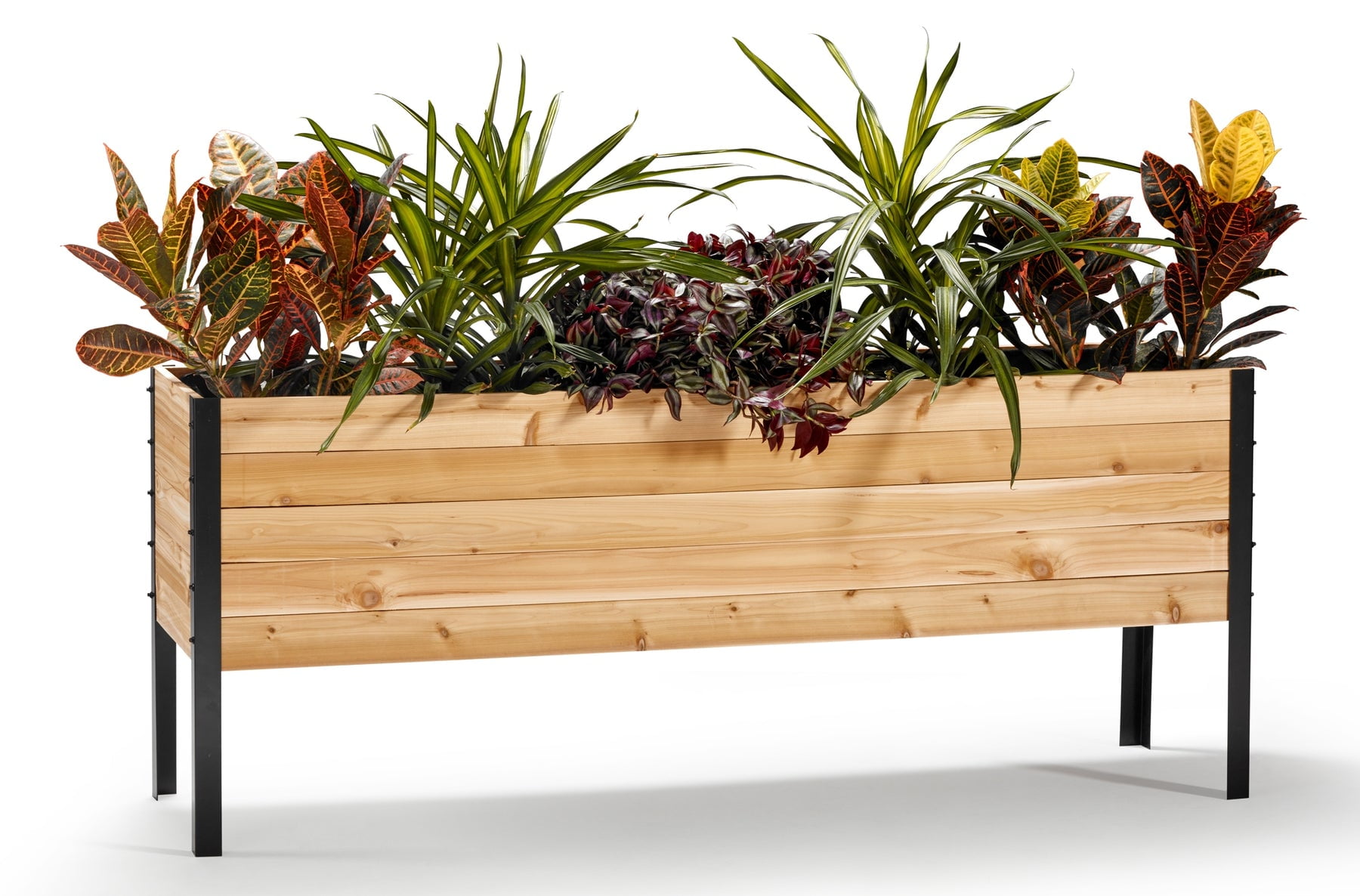 Cedar Planters 100 Canadian Cedar Wood Raised Elevated Garden Bed