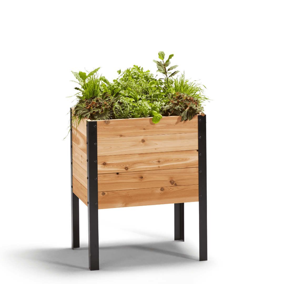 Cedar Planters 100 Canadian Cedar Wood Raised Elevated Garden Bed