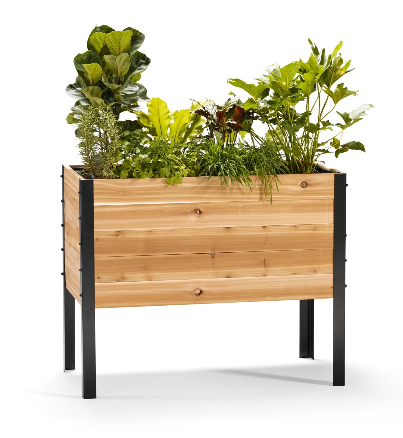 Cedar Planters 100 Canadian Cedar Wood Raised Elevated Garden Bed