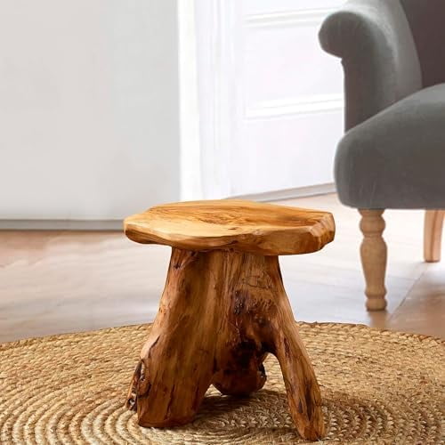 Cedar Roots Mushroom Accent Stool 12" x 15" x 13.5" Height Natural Wood Side Table Home Dcor Rustic Plant Stand Accent Tree Stump Stool End Table for Living Room Live Edge Table$$Furniture