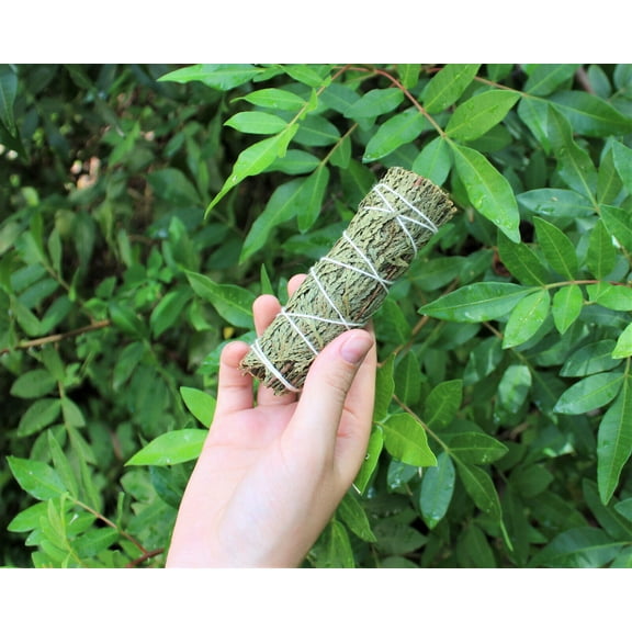 Cedar Sage Smudge Stick / Wand 3-4" House Cleansing Remove Negativity Ceremonial
