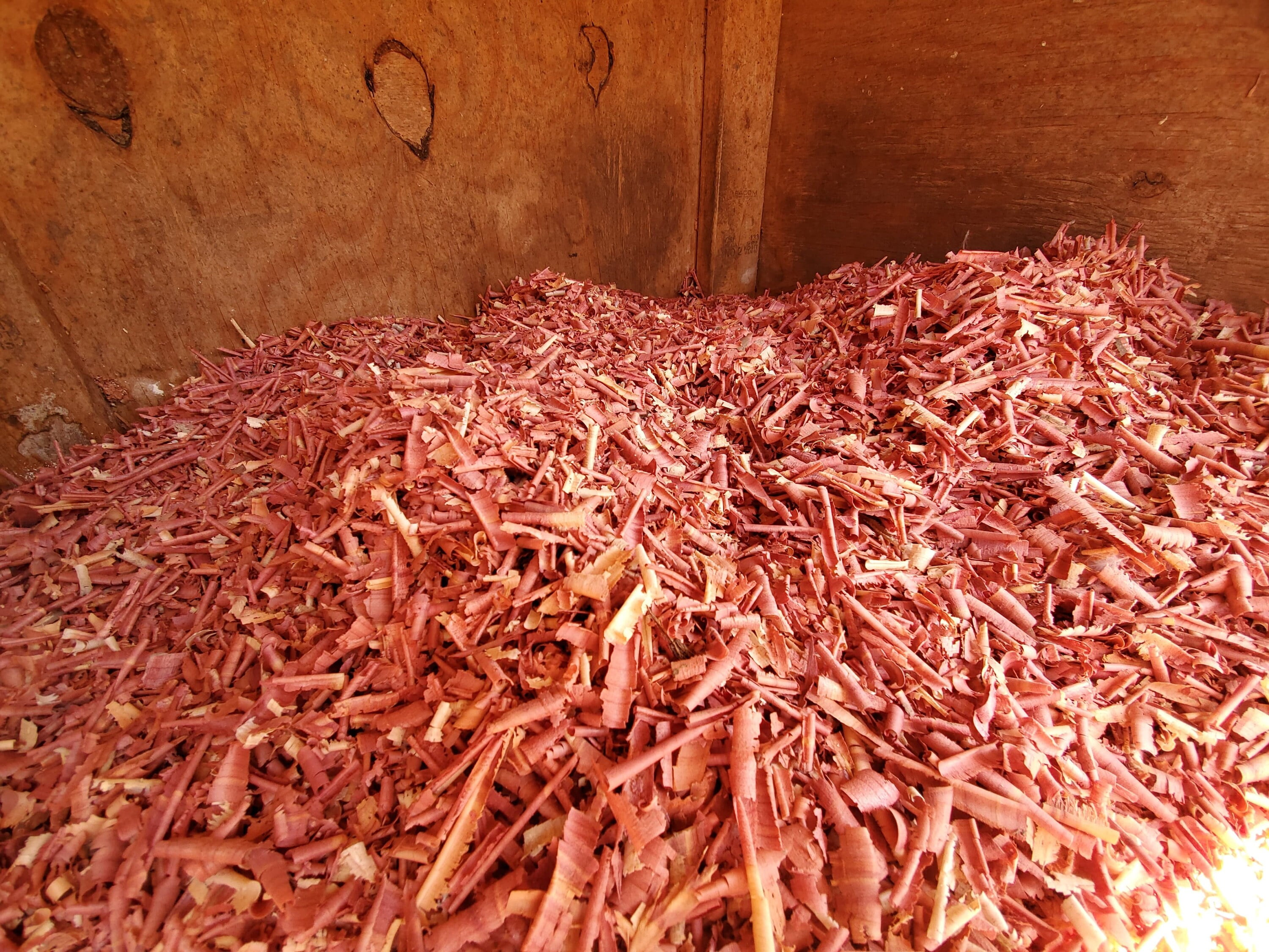Cedar shavings at walmart sales