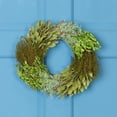 thumbnail image 1 of Northlight Small Cedar Succulent and Day Grass Artificial Spring Wreath Green -14-Inch, 1 of 8