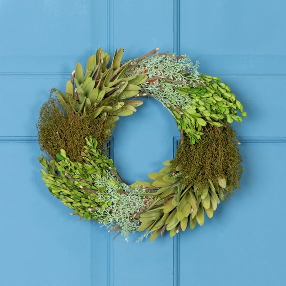 Northlight Small Cedar Succulent and Day Grass Artificial Spring Wreath Green -14-Inch