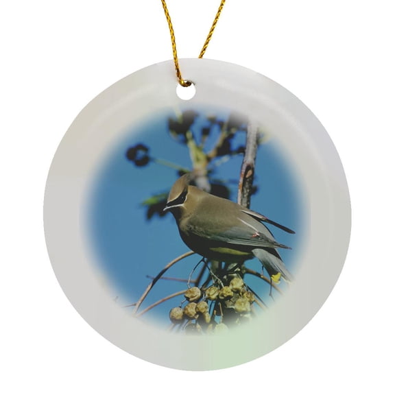 3drose, Cedar Waxwing Bird on Chinaberry Tree, Texas - Na02 Rnu0489 - Rolf Nussbaumer, Circle Porcelain Ornament