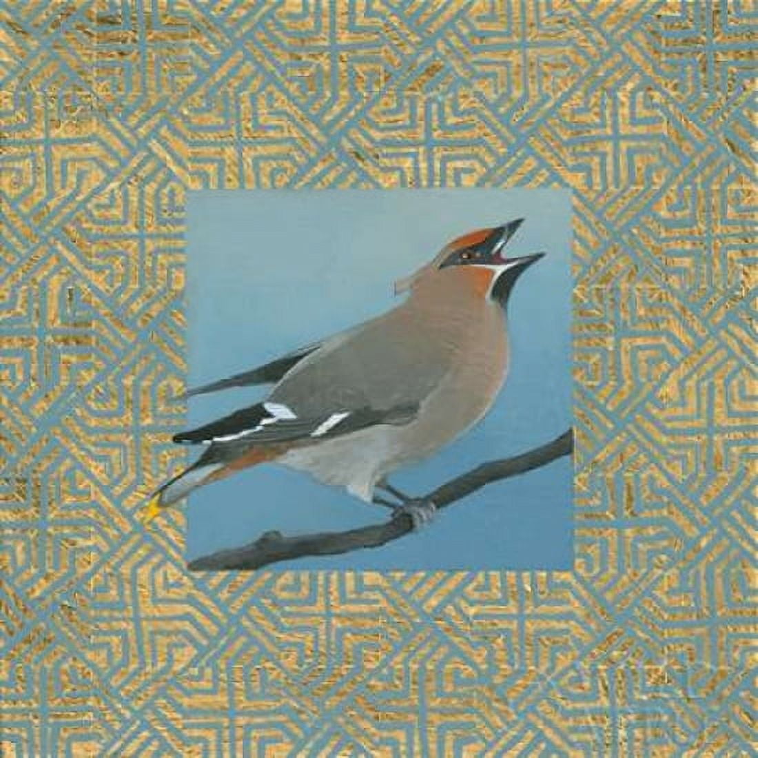 Cedar Waxwing Border Canvas Art - Kathrine Lovell (24 x 24)