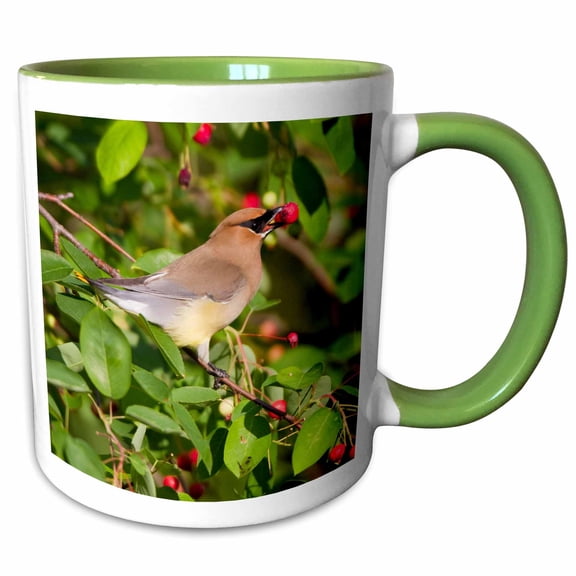 3drose, Cedar Waxwing Eating Berry in Serviceberry Bush Marion Co. Il, 11oz Two-tone Green Mug