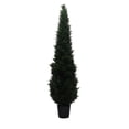 thumbnail image 1 of Cedar in Pot UV Everyday Tree - 8 ft., 1 of 1
