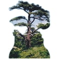 thumbnail image 1 of Cedars of God Lebanon Tree Famous Trees Cardboard Cutout Standee Standup, 1 of 1