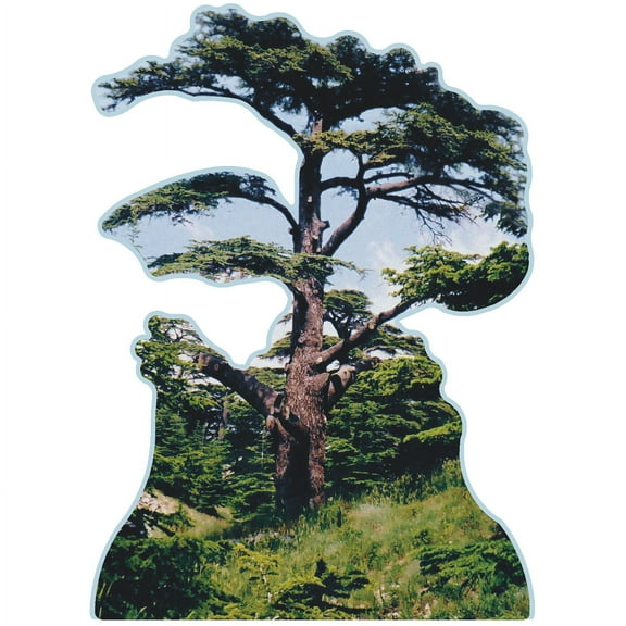 Cedars of God Lebanon Tree Famous Trees Cardboard Cutout Standee Standup