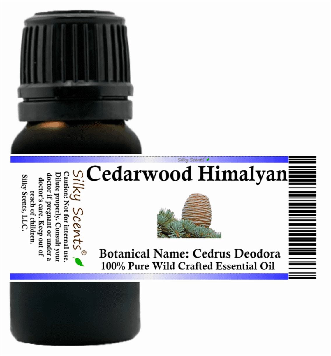 Cedarwood Himalayan Wild Crafted Essential Oil - 100% Pure and Natural by Silky Scents