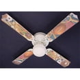 thumbnail image 1 of ceiling fan designers ceiling fan, classic sports, 42, 1 of 1