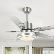 Ceiling Fan with Lights Remote Control,3 Color Dimmable Light 52 Inch Stainless Steel 5 Blades for kitchen dining room Interior courtyard bedroom living room