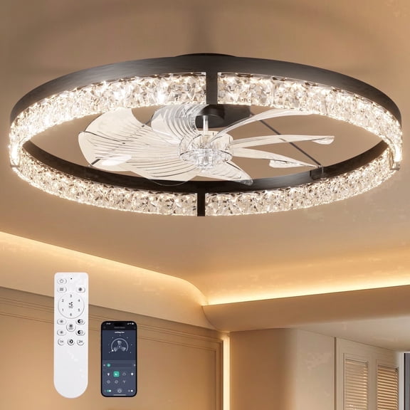 AIDEL 24" Ceiling Fan with Light, Flush Mount Low Profile, Remote & App Control, Dimmable 3CCT LED, Black